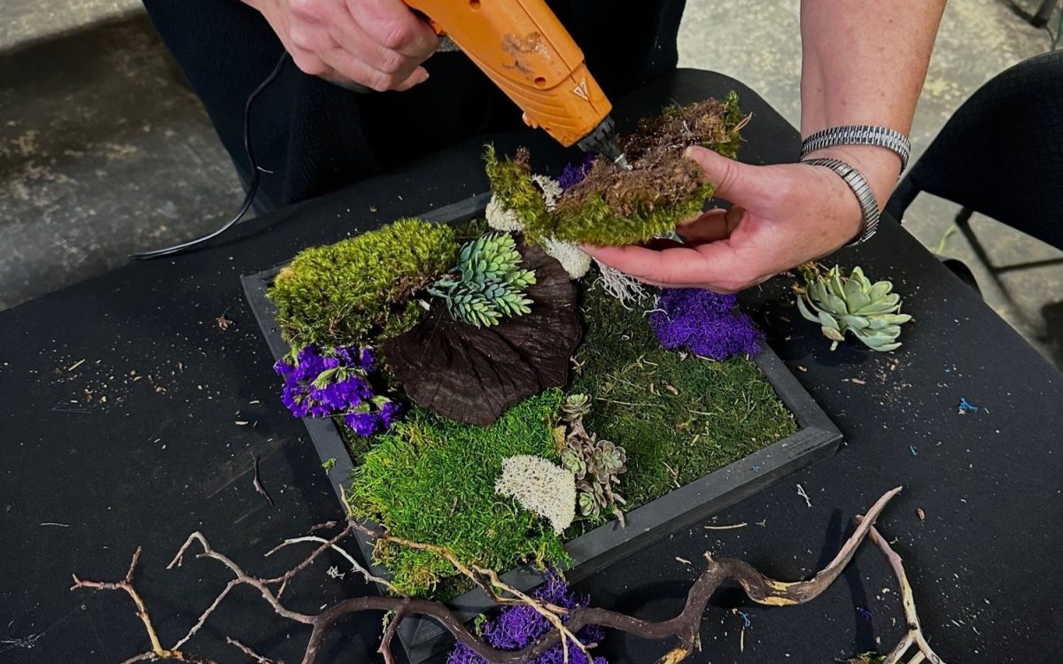 Moss Art Workshop