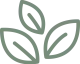 logo-icon-color