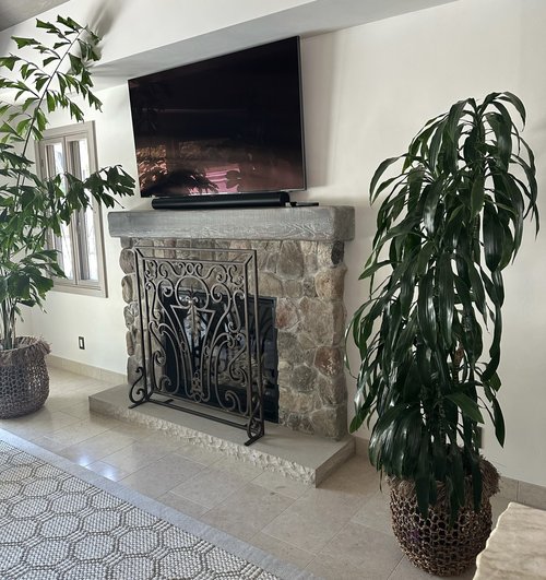 Indoor Plants Sacramento-exotic plants ltd