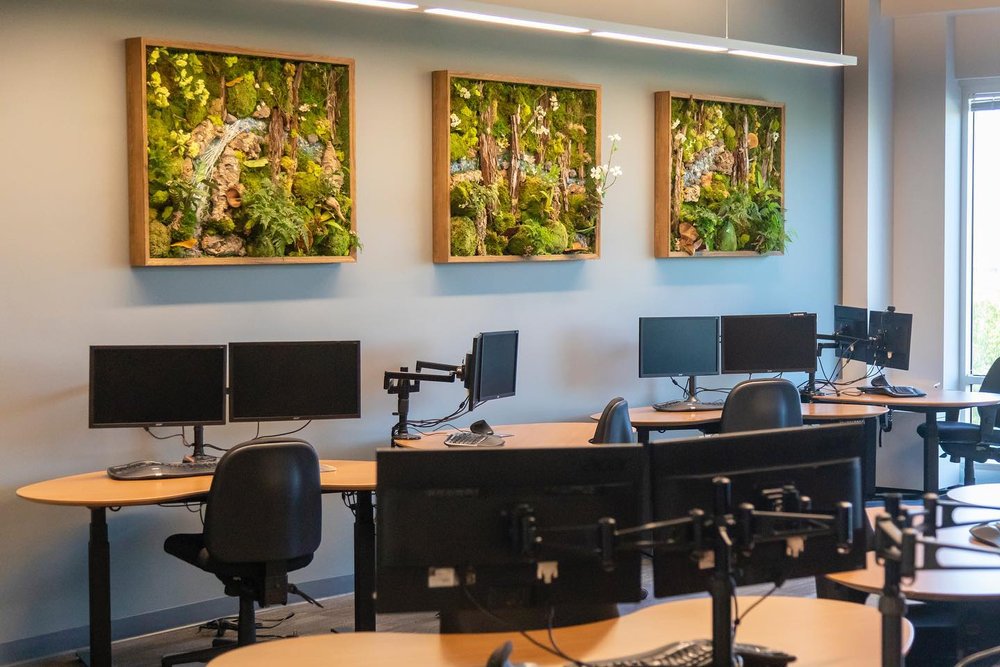 interior plant decoration