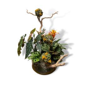 Custom Arrangements
