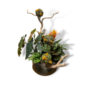 Custom Arrangements