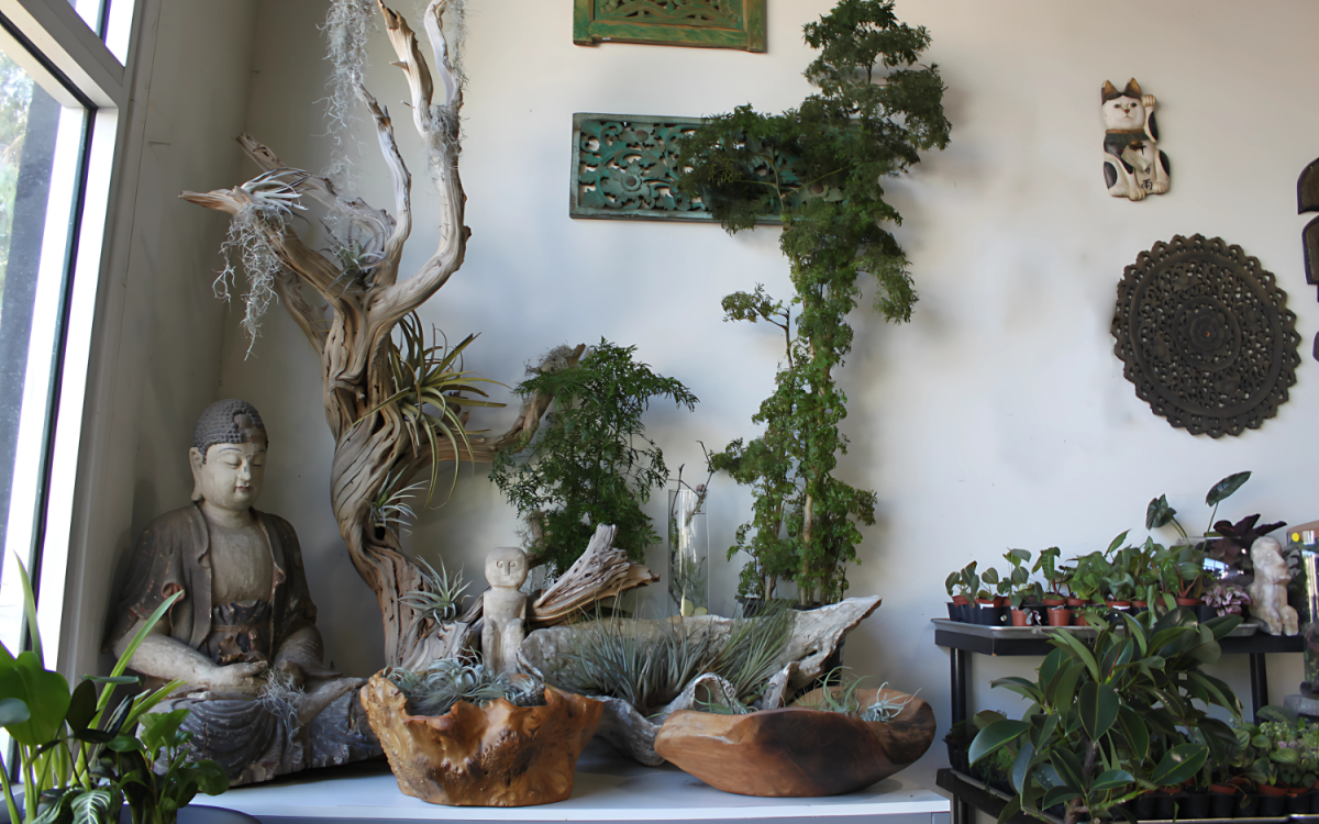 sustainable indoor plant decor