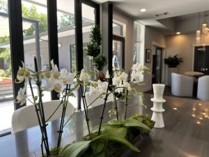 Event Accents: How Event Plants Transform Spaces