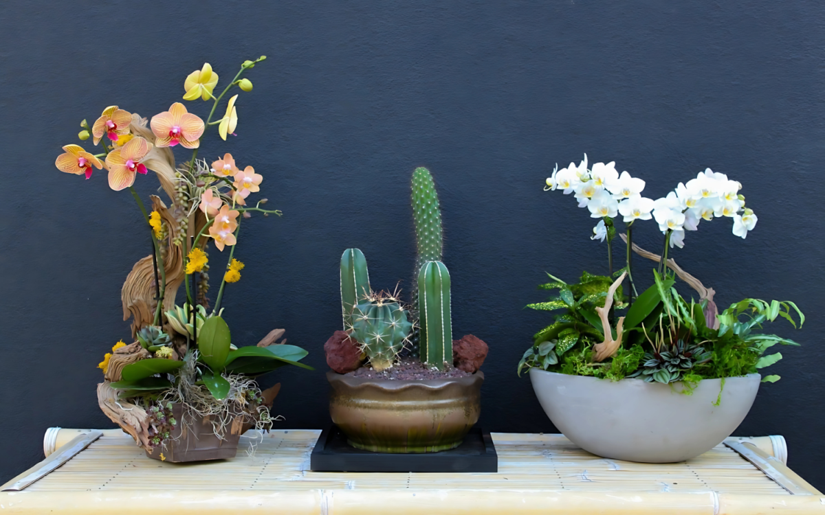 modern plant decor ideas