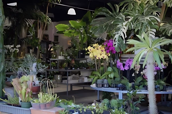 Plant Nursery In Sacramento Ca