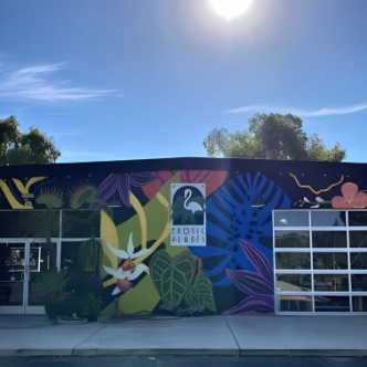 office plants installation Sacramento