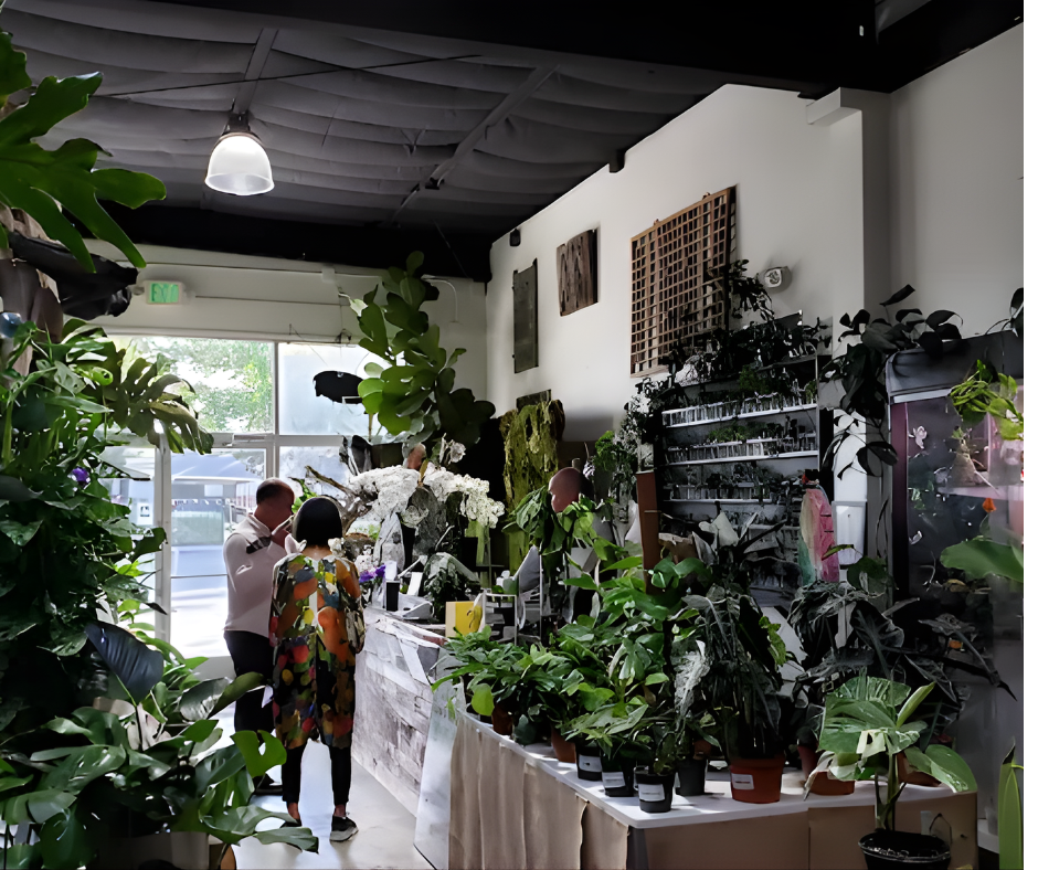 Exotic Plants